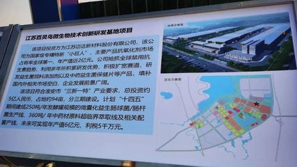 寧淮智造產業園座談會召開，生物飼料研發成焦點